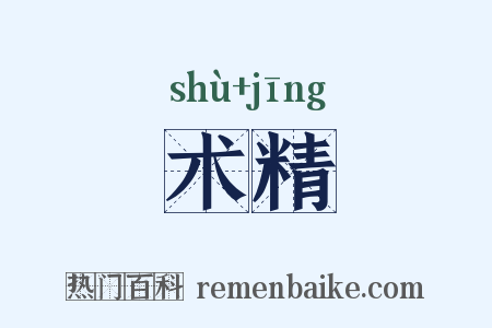 术精是什么意思的图片